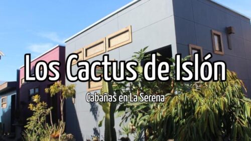 Los Cactus de Islón